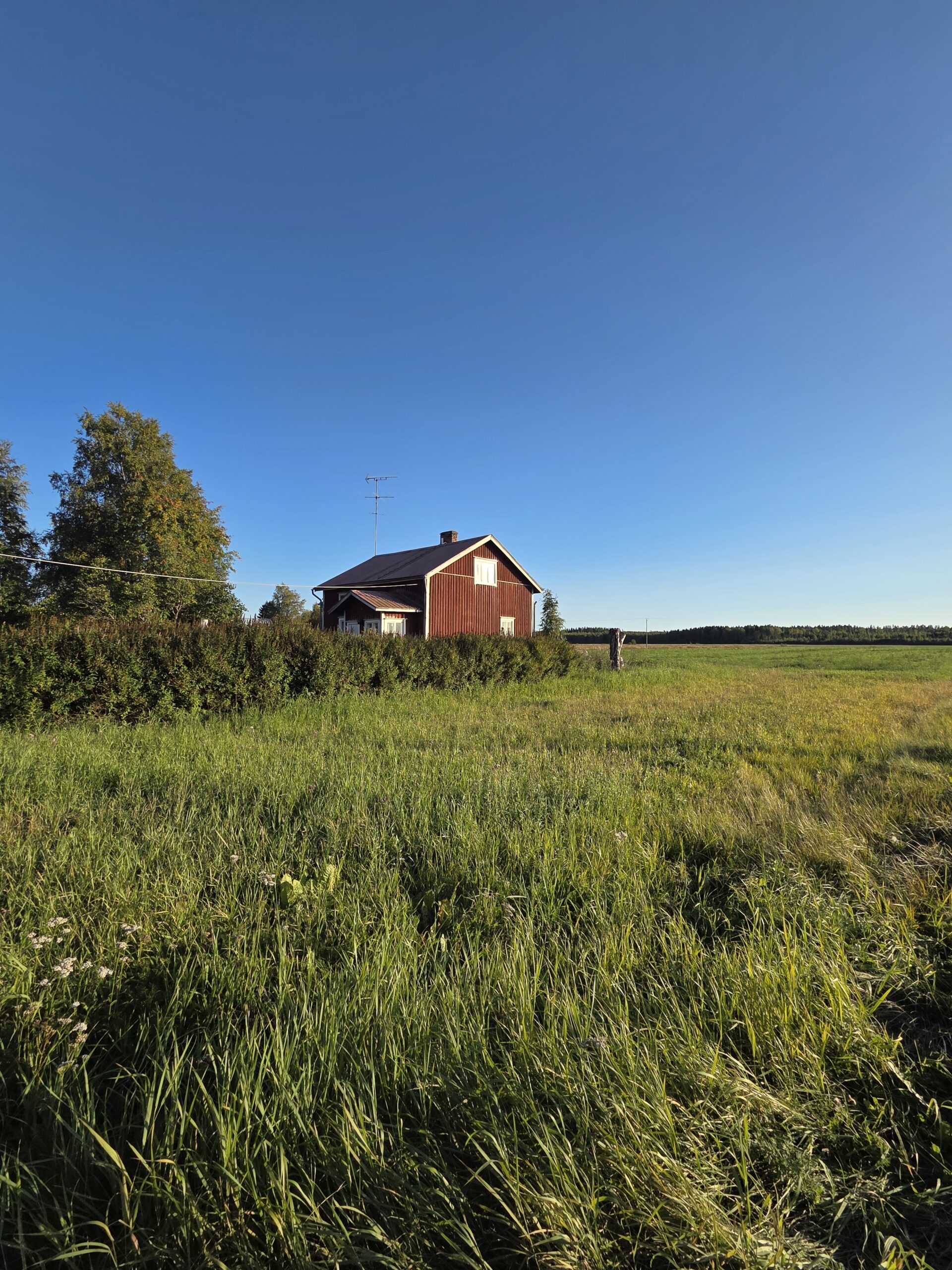 Helsingby 3
