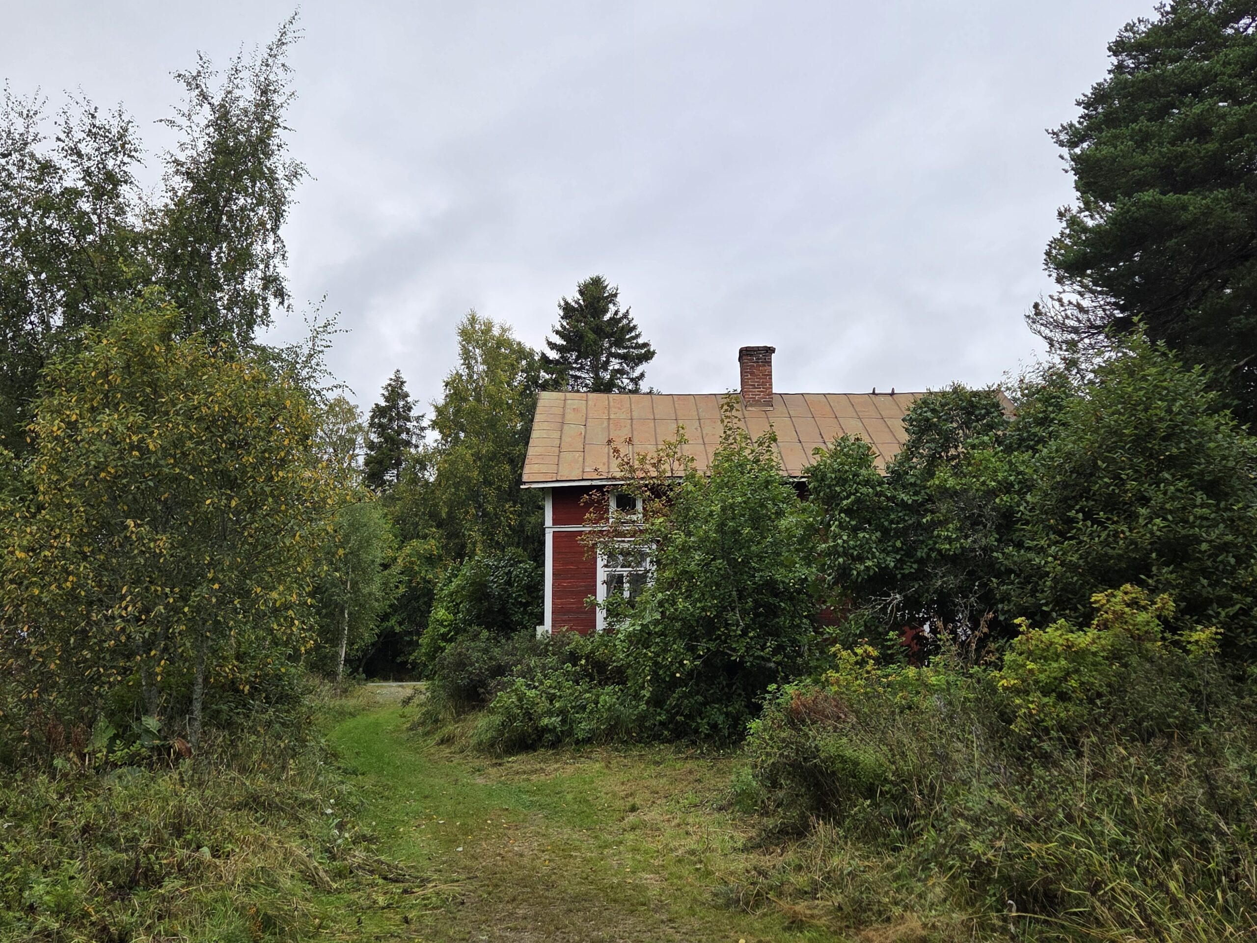Singsby 10
